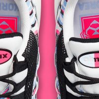 Botas Air Max 95 Corea Del Sur
