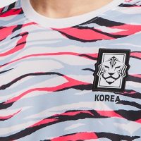 Increíble Camiseta Pre – Partido Nike Corea Del Sur 2020