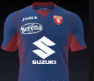 Camiseta del Torino FC 2020